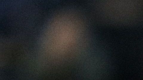 Pulido llegó a 12 goles.