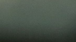 Alan Pulido obtuvo el título de campeón de goleo, logro compartido con  Mauro Quiroga, de Necaxa.