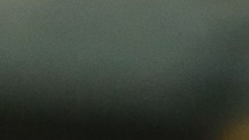 Alan Pulido obtuvo el título de campeón de goleo, logro compartido con  Mauro Quiroga, de Necaxa.