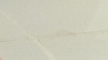 Oficialmente, Ricardo Peláez  ya es el director deportivo del Rebaño.