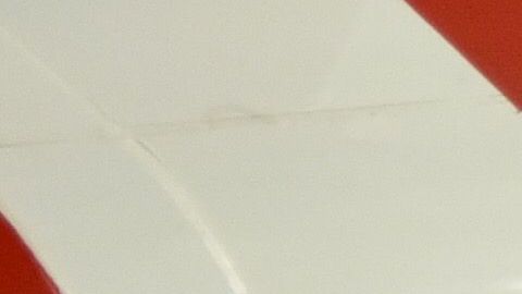 Oficialmente, Ricardo Peláez  ya es el director deportivo del Rebaño.