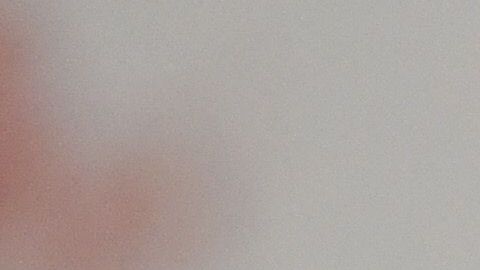 Peláez fue criticado cuando contrató al argentino.