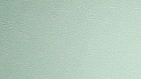 El ‘Cuauh’ que estuvo en un un palco con su familia