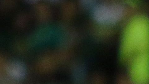 Edinson Flores puso el 2-1 para Morelia.