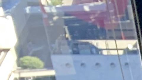 Zoila Flores Rosales, nueva residente de los EEUU tras más de 20 años de vivir con el programa TPS. (Araceli Martínez/La Opinión).