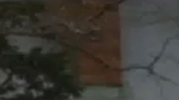 Tragedia doble en Bayville