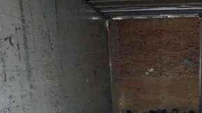 Así iban en la caja del tráiler.