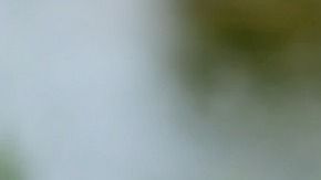 Gloria Fuentes se dio cuenta que habían enviado la imagen a un número desconocido.