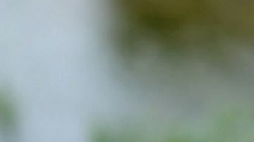 Gloria Fuentes se dio cuenta que habían enviado la imagen a un número desconocido.