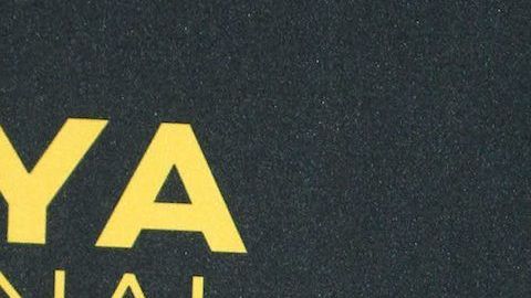 José Eduardo Derbez.