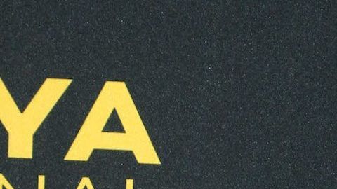 José Eduardo Derbez