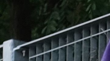 Justin Bieber y Hailey Baldwin