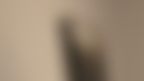 El equipo de Hockey Toronto Maple Leafs salvó el cumpleaños de un niño de 11 años después de que sus amigos lo abandonaron y no fueron a su fiesta.