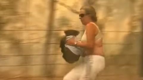 La mujer salvó al koala de una muerte segura.