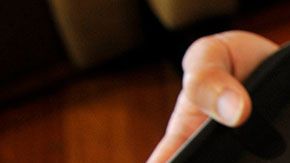 Los granos de esta café son sacados de los granos parcialmente digeridos de la civeta.