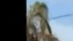 VIDEO: La Furia Negra, los policías que no escuchan a AMLO y por ello los narcos les temen