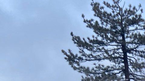 Continuará nevando en Palmdale y Lancaster hasta este viernes.