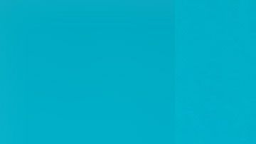 Las acciones de la compañía han perdido un 80% de su valor.