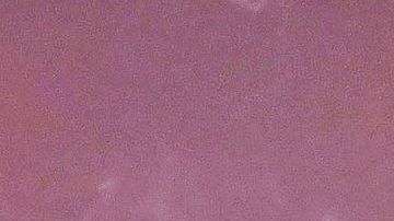 Danna Paola sube a Instagram fotos muy sexys.