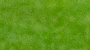 El mercado invernal parece que será duro porque a la puja se sumó el Wolverhampton.