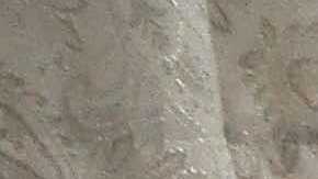 Este 15 y 21 de diciembre hay funciones de Navidad para los fanáticos de las luchas de Chicago y la región. (Javier Quiroz / La Raza)