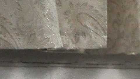 Este 15 y 21 de diciembre hay funciones de Navidad para los fanáticos de las luchas de Chicago y la región. (Javier Quiroz / La Raza)