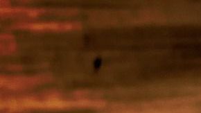 Pensaron que tenía un artefacto explosivo, pero no fue así.