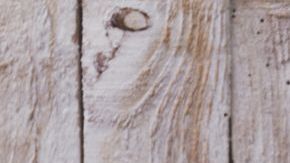 lunch-loncera-pxhere