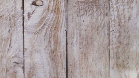 lunch-loncera-pxhere