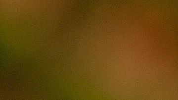 El programa genera más opciones para adquirir empleos a las madres jóvenes a fin de lograr la estabilidad económica.