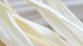 Crédito: Amykins/Pixabay