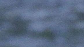 Photo©2019 MAR/Grosby Group
Spain: Lagencia Grosby
EXCLUSIVO
Sara Corrales y su novio, DJ Gervais disfrutan de unas romanticas vacaciones en Tulum, Mexico.