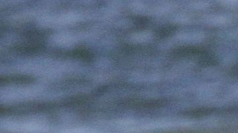 Photo©2019 MAR/Grosby Group
Spain: Lagencia Grosby
EXCLUSIVO
Sara Corrales y su novio, DJ Gervais disfrutan de unas romanticas vacaciones en Tulum, Mexico.