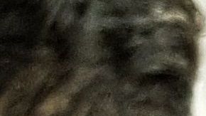 El cura abusó de la niña por varios meses.