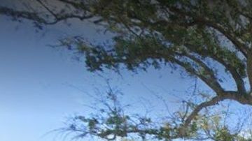 Maurice Gusman Concert Hall