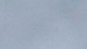 Sofia Richie y Alexa Dellanos.