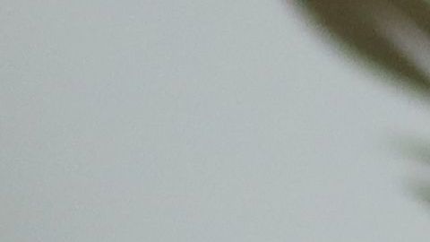 Meghan Markle, Duquesa de Sussex