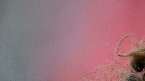 Guillermo Ochoa es uno de los líderes naturales del Tri.