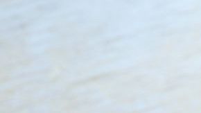 El mole de olla es la sopa perfecta para combatir el frío y aumentar las defensas del organismo.