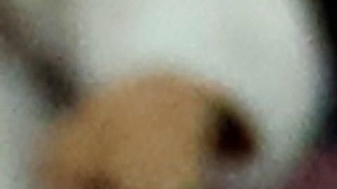 Lionel Messi siempre es protagonista, sin importar el rival o la competencia.