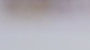 Antonio Mohamed ha sufrido en su regreso a los Rayados.