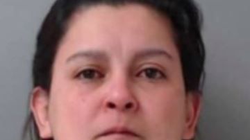 Mónica Domínguez y Gerardo Zavala fueron arrestados en febrero.