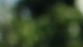 En las audiencias que se han celebrado desde julio no se ha demostrado la culpabilidad de Naasón Joaquín.