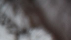 La pareja deseaba tener un hijo, pero parecía imposible dado el costo del tratamiento.