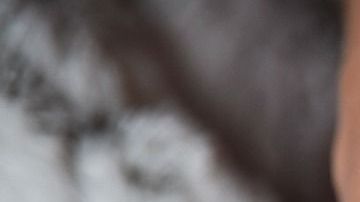 La pareja deseaba tener un hijo, pero parecía imposible dado el costo del tratamiento.