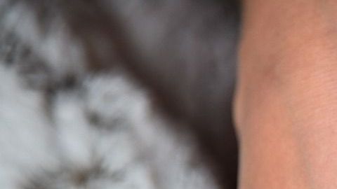 La pareja deseaba tener un hijo, pero parecía imposible dado el costo del tratamiento.