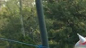 Jóvenes, adultos, niños y hasta mascotas que se dieron cita para la ya tradicional carrera.