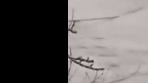 El hombre ya presentaba signos de hipotermia.