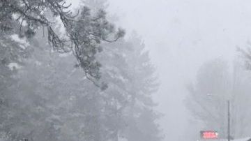 Muchas de las carreteras se encuentran cerradas o en proceso de limpieza por parte de las autoridades