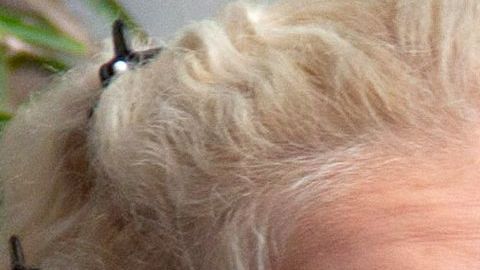 Niurka Marcos y Emilio Osorio